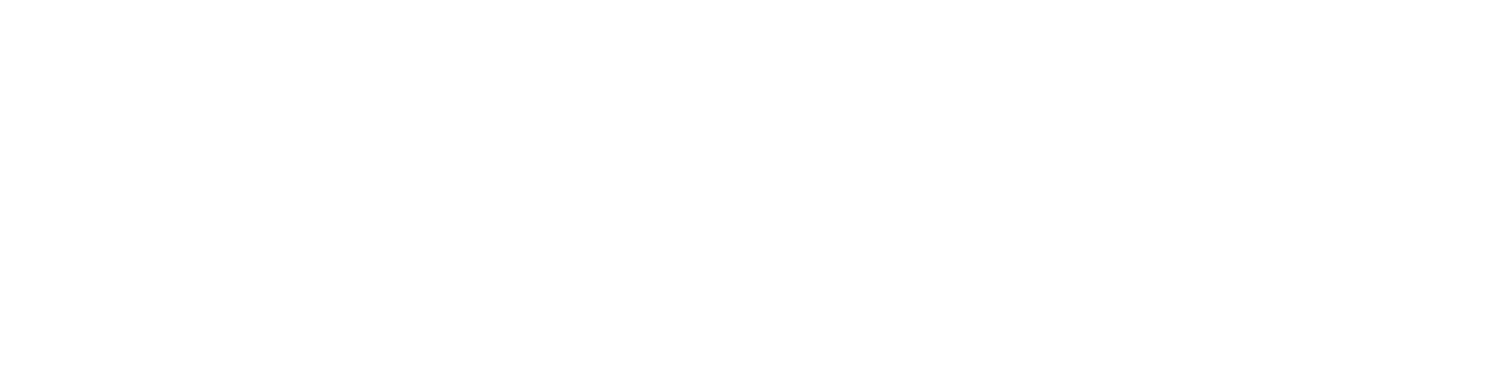 Original Stash Logo